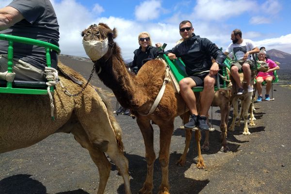 Kamelritt Lanzarote Tour