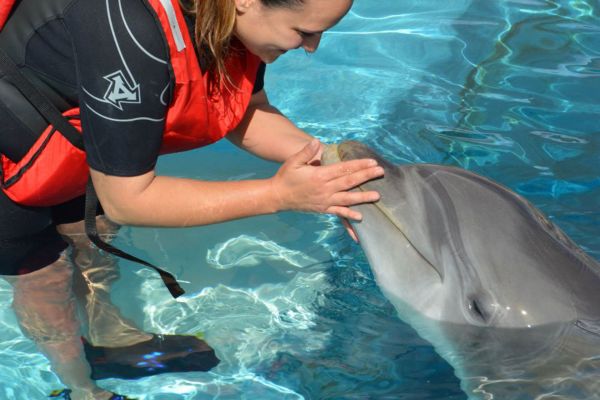 Interagiere mit Dolphins Lanzarote