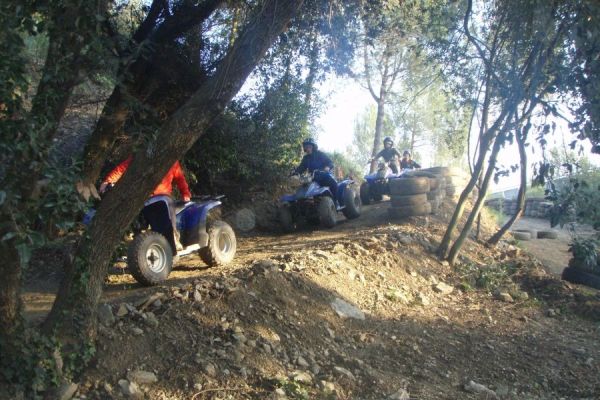 Quad Safari Teneriffa Waldtour