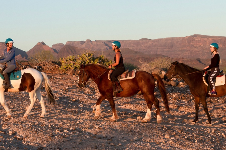 horse-riding-gran-canaria-2-hours_1_l