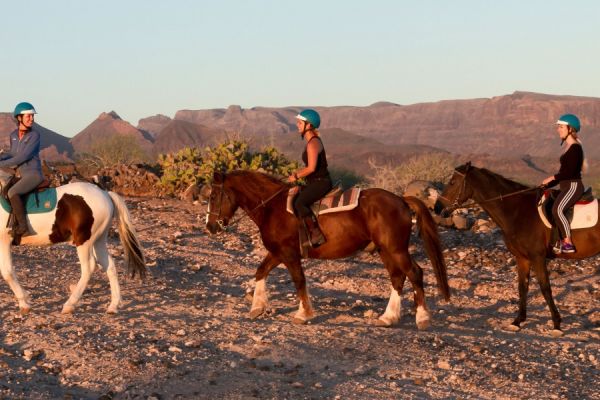 Reiten Gran Canaria 2 Stunden