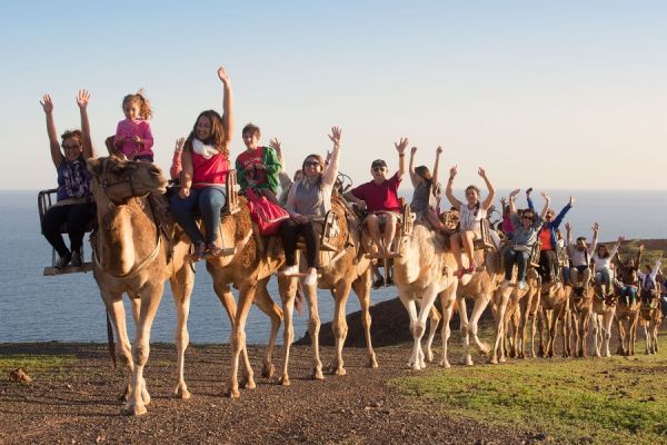 Oasis Fuerteventura mit Kamelsafari