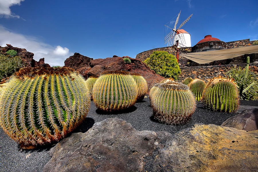 best-of-lanzarote-north-tour_2