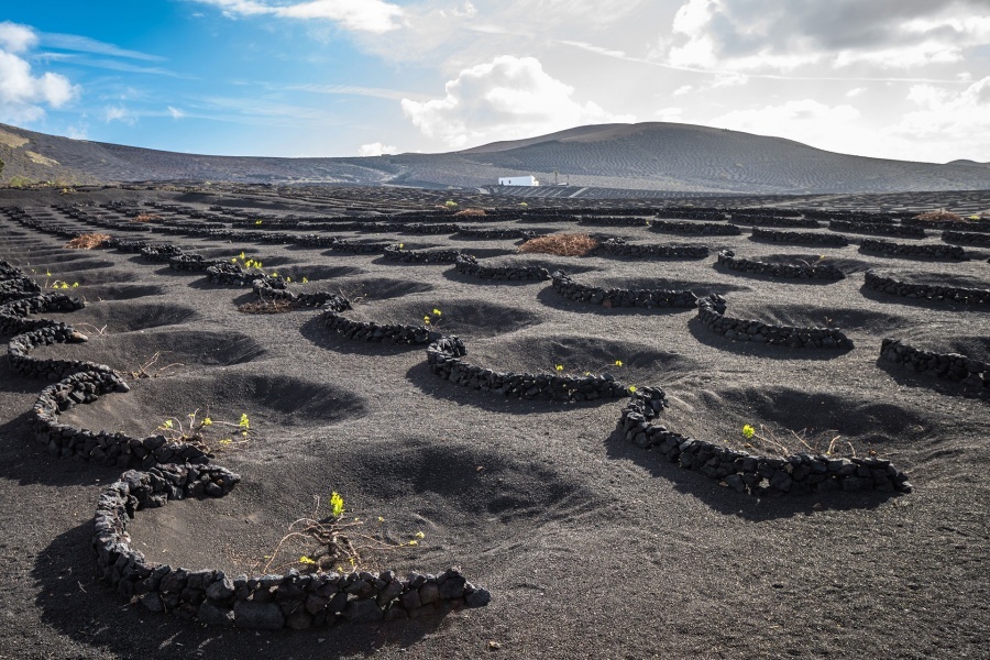 lanzarote-volcano-short-south-tour_1_l