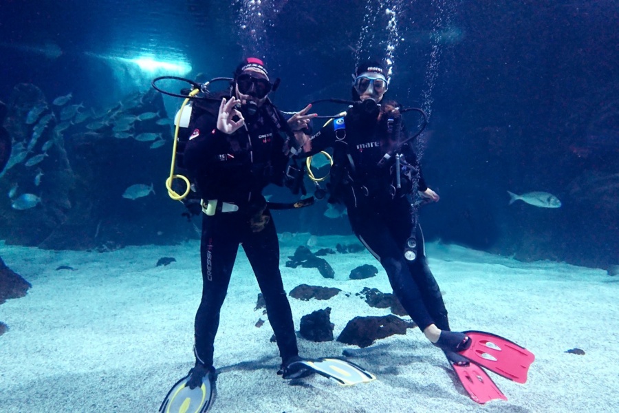 swim-with-sharks-in-lanzarote_3