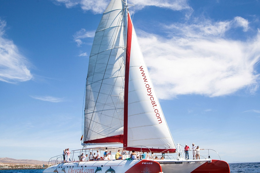 obycat-corralejo-boat-trips_3_l