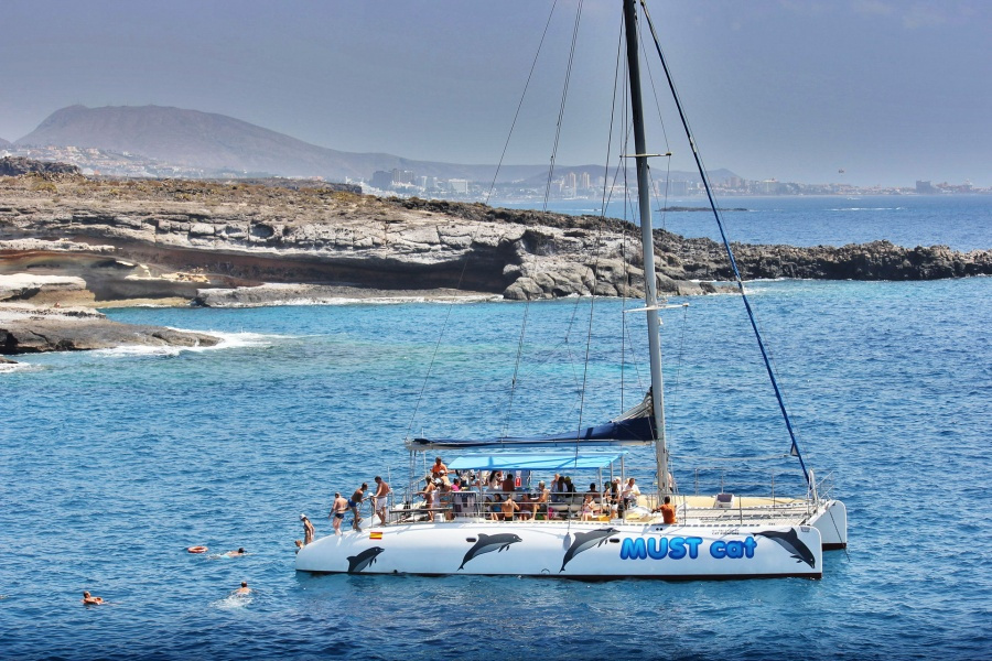 whale-watching-tenerife_3_l-1