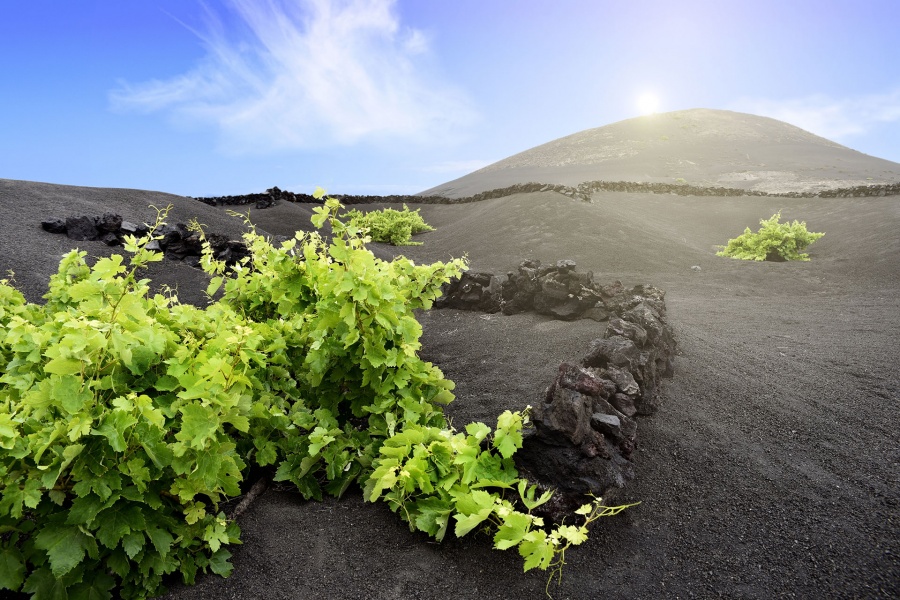 lanzarote-volcano-south-tour_4