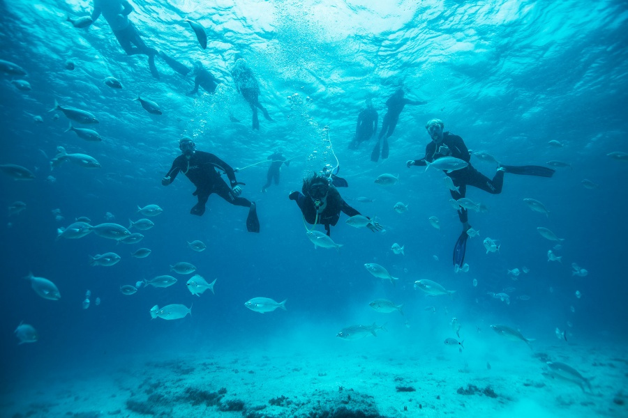 snorkelling-fuerteventura-diving_4_l