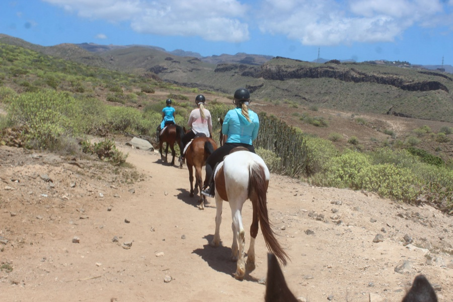 horse-riding-gran-canaria-2-hours_5_l